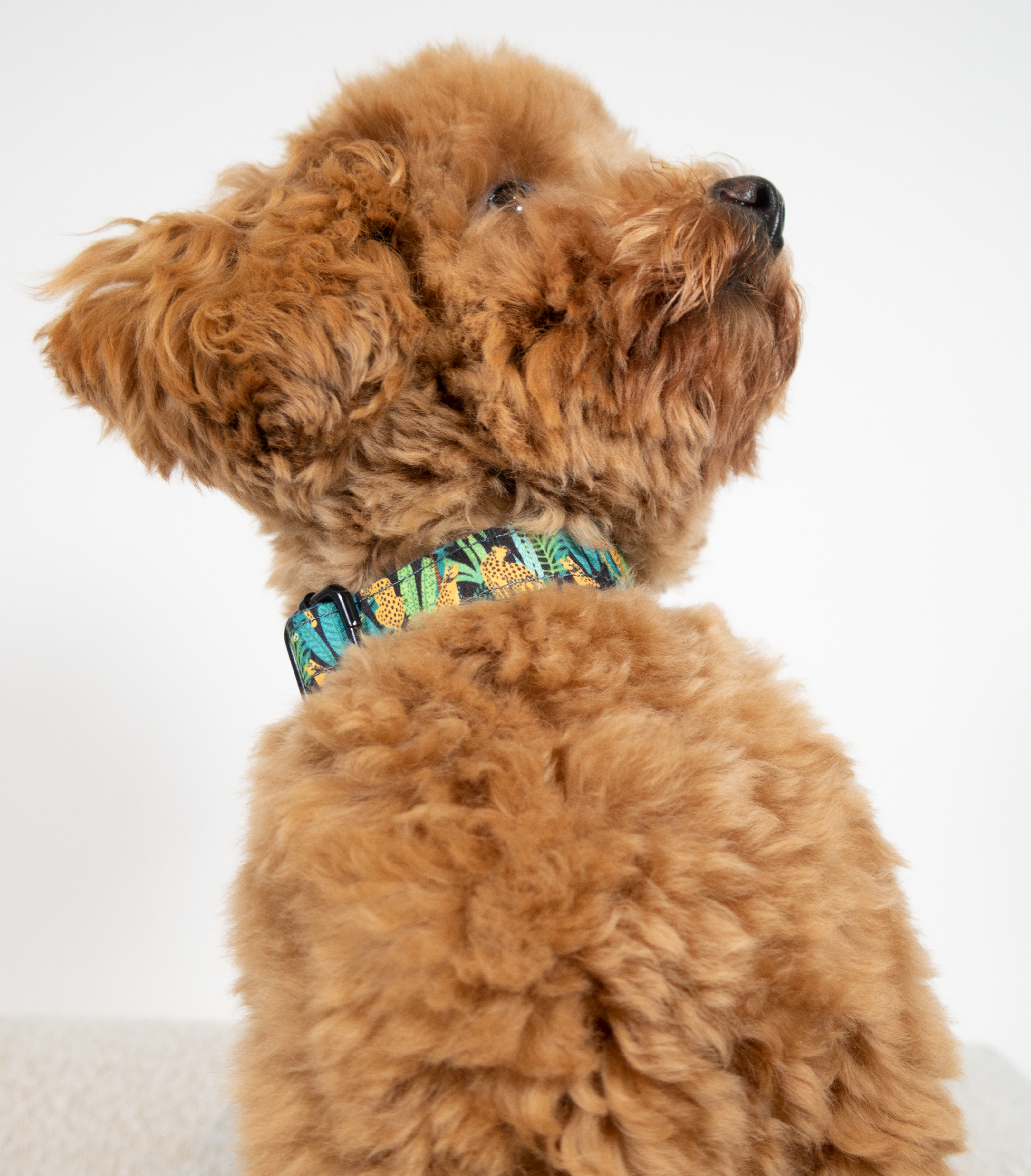 Exotic Jungle Halsbandje