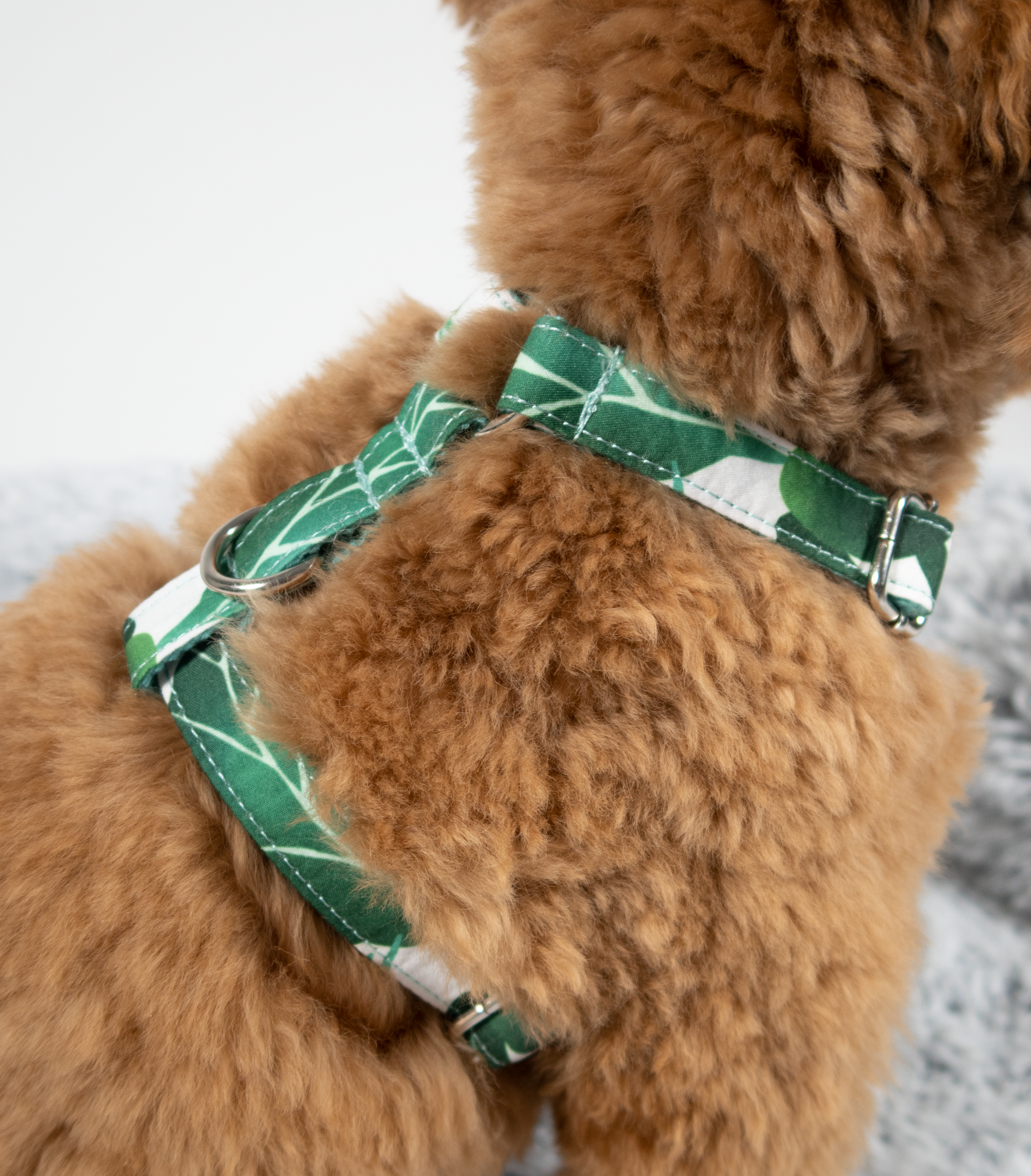 Minty Leafs Setje