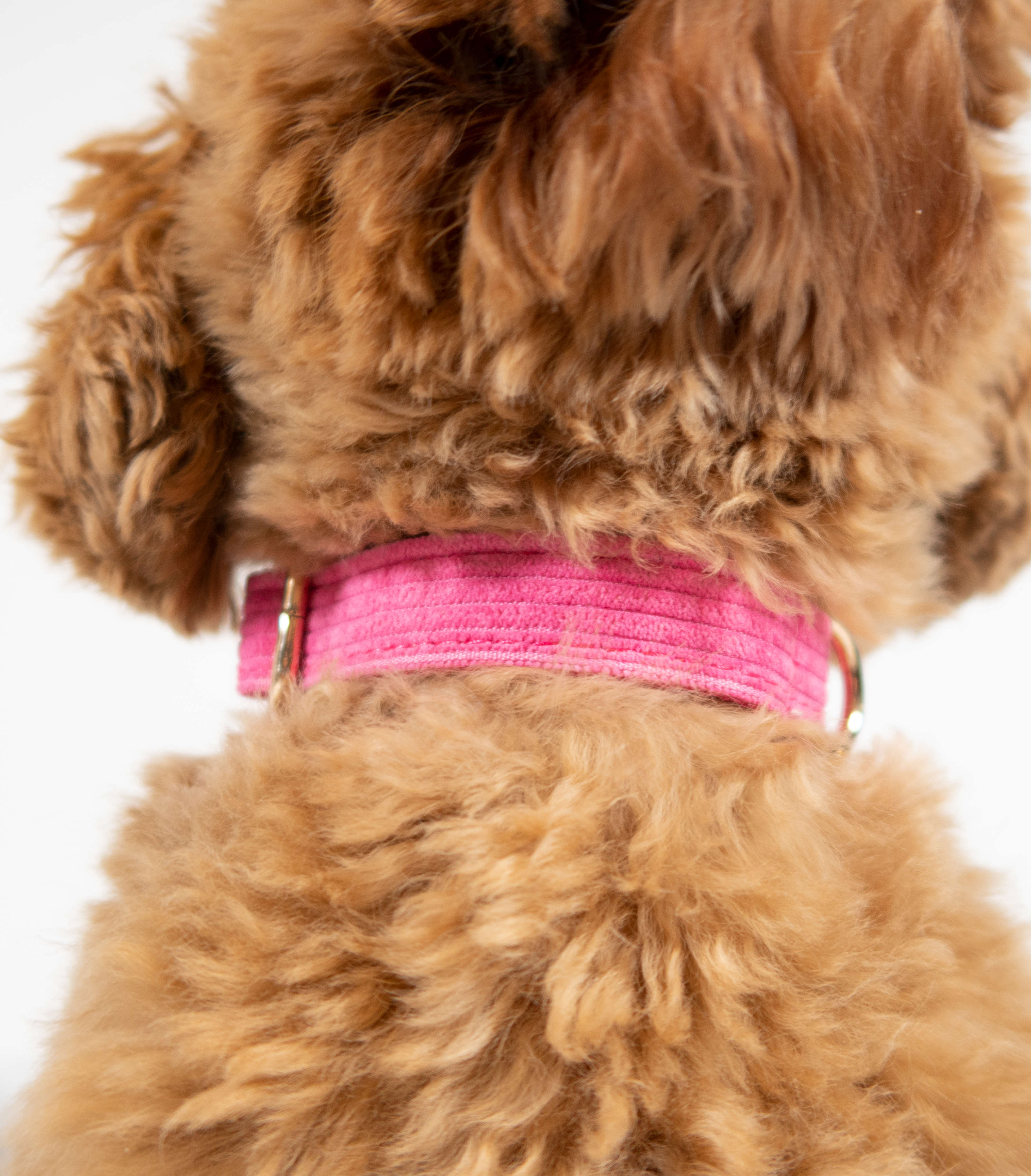 Pink Dreams Halsbandje