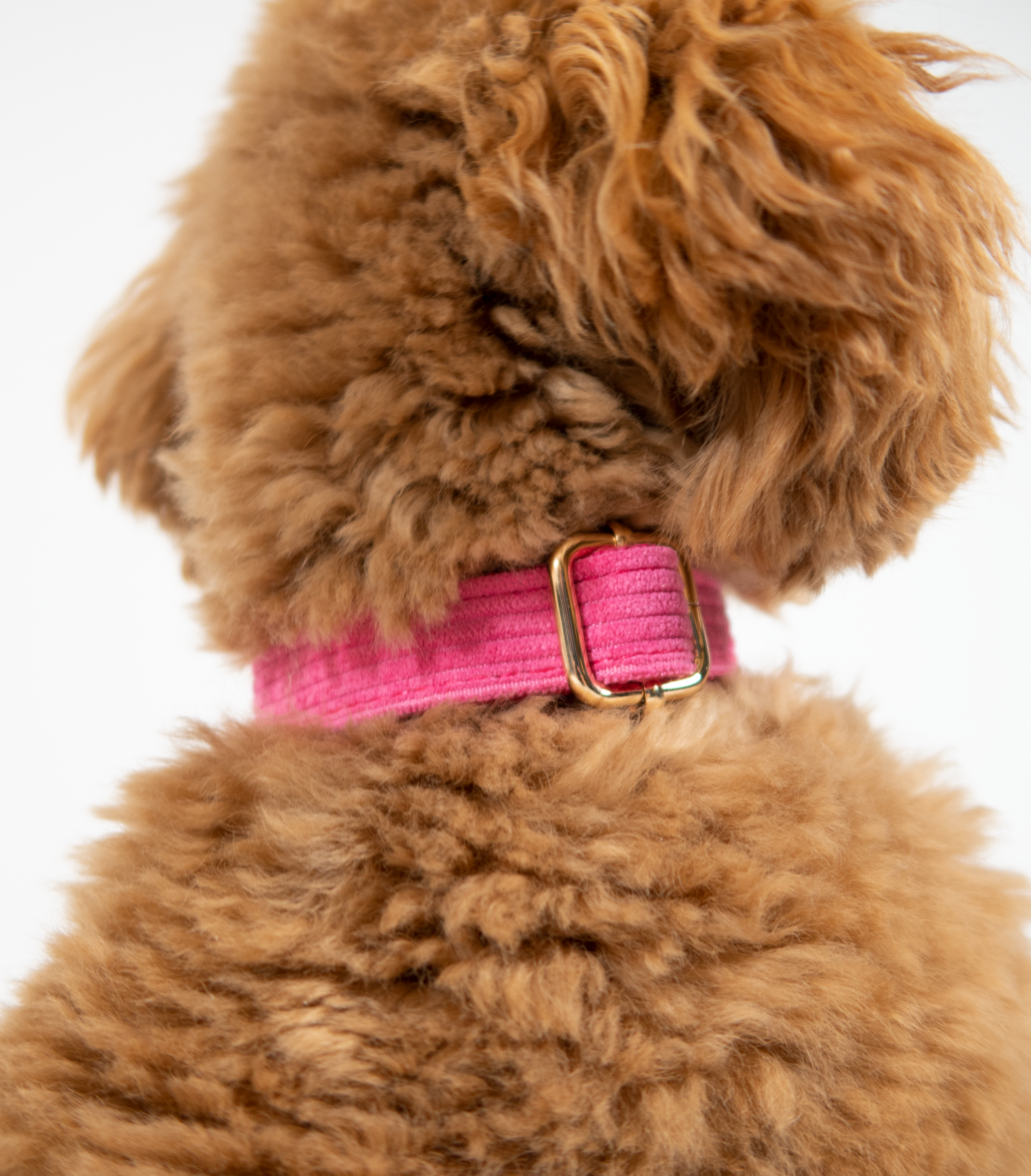 Pink Dreams Halsbandje